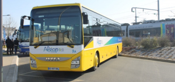 Car Scolaire Aléop
